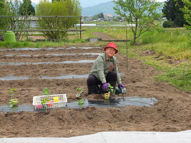 DSCF1469.JPG